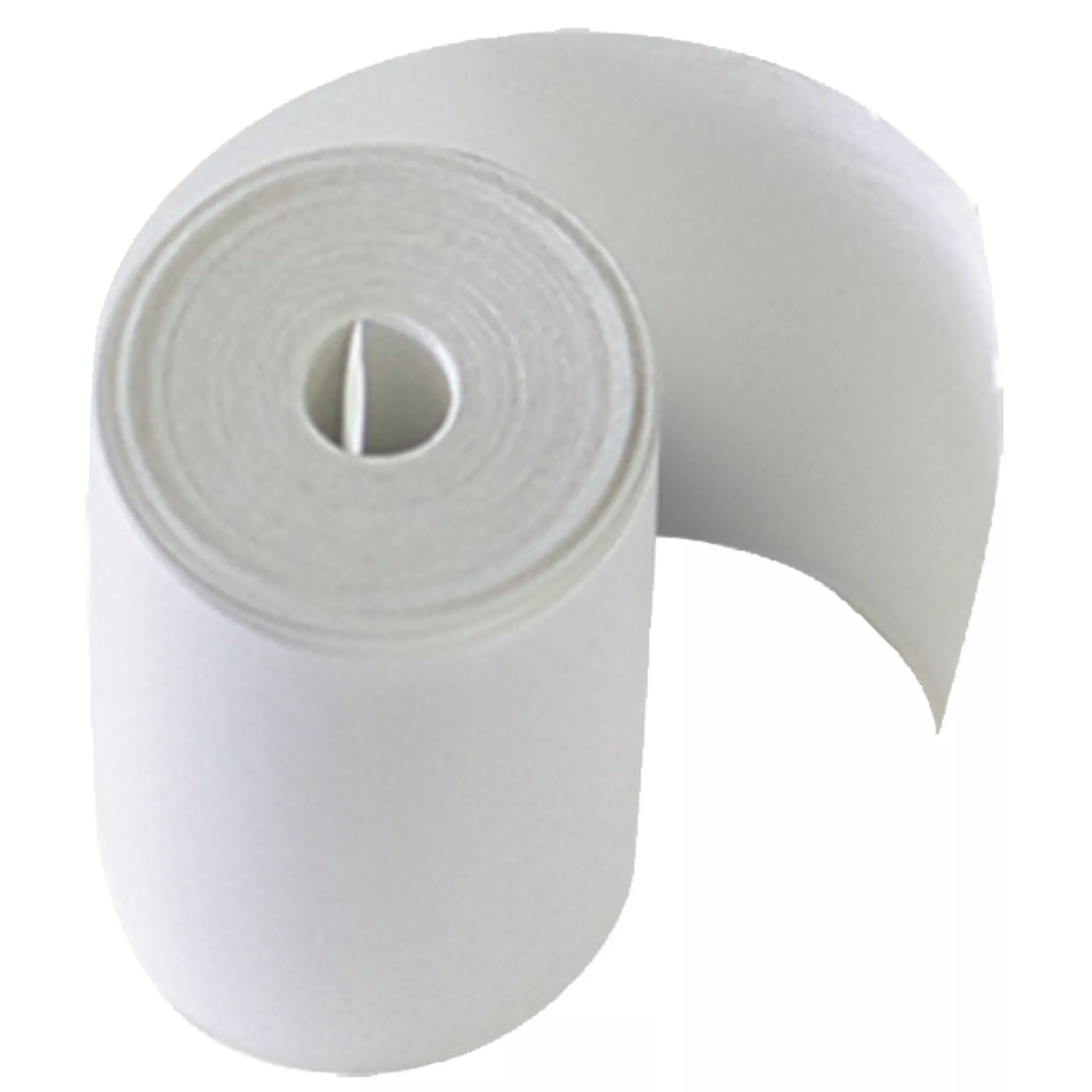 2 Paper Rolls For Tester Pbt550/600 2 Paper Rolls For Tester Pbt550/600