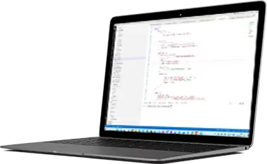 software development